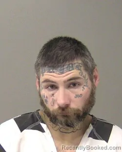 Mugshot of SHANE MICHAEL JONES