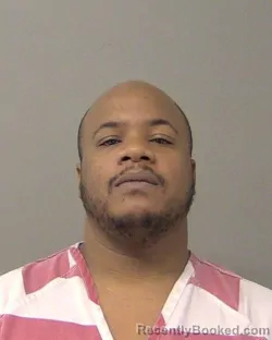 Booking photo from Macon County, Illinois