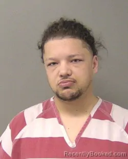 Booking photo from Macon County, Illinois