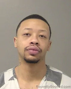 Booking photo from Macon County, Illinois