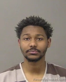 Booking photo from Macon County, Illinois