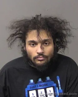 Booking photo from Macon County, Illinois