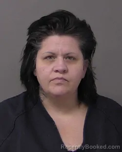 Booking photo from Macon County, Illinois