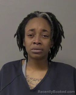 Mugshot of BRITTNI CAMILLE COLLINS
