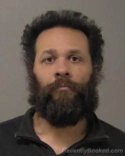 Booking photo from Macon County, Illinois