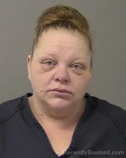 Booking photo from Macon County, Illinois