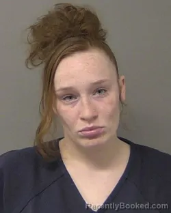 Booking photo from Macon County, Illinois