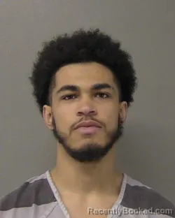 Booking photo from Macon County, Illinois