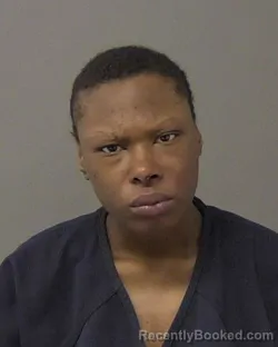 Mugshot of SYNCLAIRE MARIE WILLIAMS