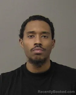 Booking photo from Macon County, Illinois