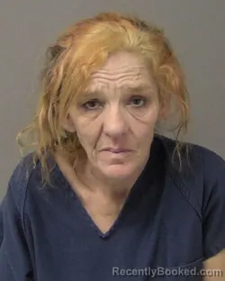 Mugshot of LISA MARIE MIESNER