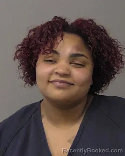 Booking photo from Macon County, Illinois