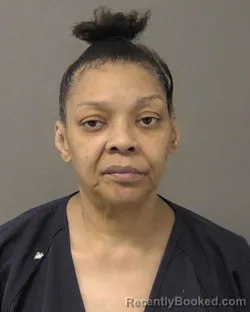 Mugshot of MICHELLE JEFFRIES booked in Macon County, Illinois on March 6, 2026