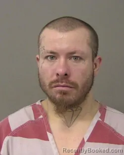 Mugshot of NICHOLAS JOSEPH HOLLGARTH booked in Macon County, Illinois on March 7, 2026