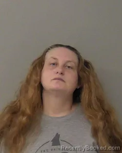 Mugshot of SHANNON LEANN HOLZINGER booked in Macon County, Illinois on March 9, 2026