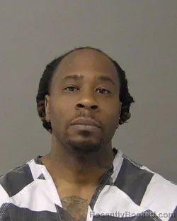 Mugshot of TOMMIE LEE Third LOFTON booked in Macon County, Illinois on March 10, 2026