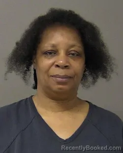 Mugshot of RENEE LESLIE RAPIER booked in Macon County, Illinois on March 11, 2026