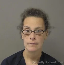 Mugshot of ERICA L JOHNSON booked in Macon County, Illinois on March 12, 2026