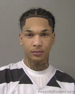 Mugshot of RICARDO MICHAELDOMEND HIBBARD booked in Macon County, Illinois on March 13, 2026