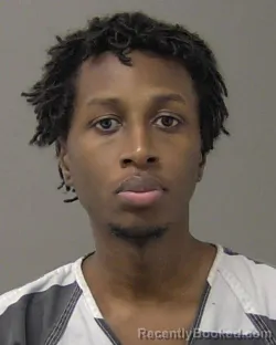 Mugshot of IBRAHIM HAMID Junior JALLOH booked in Macon County, Illinois on March 13, 2026