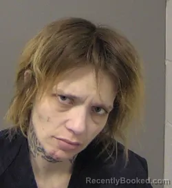 Mugshot of ERIN MICHELLE MEARS booked in Macon County, Illinois on March 14, 2026