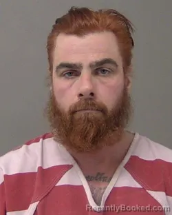 Mugshot of DAVID ALLEN MCGEE booked in Macon County, Illinois on March 18, 2026