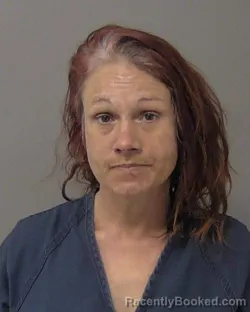 Mugshot of LORILEE ANN MCQUEEN booked in Macon County, Illinois on March 18, 2026