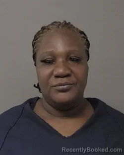 Mugshot of THERESA LEVES JOHNSON booked in Macon County, Illinois on March 19, 2026