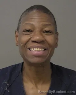 Mugshot of SHEILA MONIQUE BURRIES booked in Macon County, Illinois on March 20, 2026