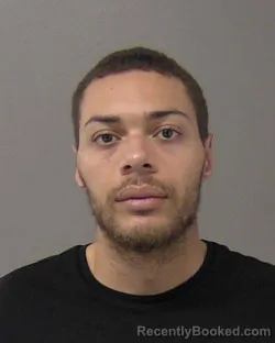 Mugshot of CARL L GHESS booked in Macon County, Illinois on March 21, 2026