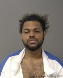 Mugshot of BRANDON LEE BURRIES booked in Macon County, Illinois on March 21, 2026