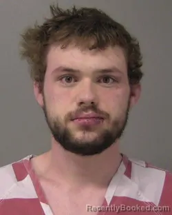 Mugshot of GAGE CHRISTOPHER WILSON booked in Macon County, Illinois on March 21, 2026