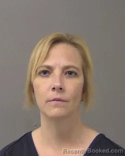 Mugshot of SUSAN MAE BARNES booked in Macon County, Illinois on March 29, 2026