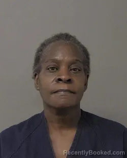 Mugshot of SHAUNCEY LUANN CLARK booked in Macon County, Illinois on April 1, 2026