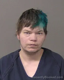 Mugshot of REBEKA LEIGH ANN PETERSEN booked in Macon County, Illinois on April 2, 2026