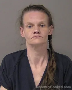 Mugshot of ANDREA KAYE PRIMMER booked in Macon County, Illinois on April 2, 2026