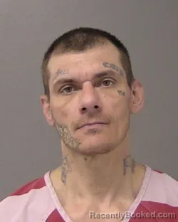 Mugshot of BOBBY JOE HOFFMAN booked in Macon County, Illinois on April 2, 2026