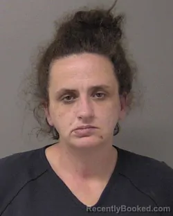 Mugshot of SAMANTHA JOELLEN SKOVIRA booked in Macon County, Illinois on April 3, 2026