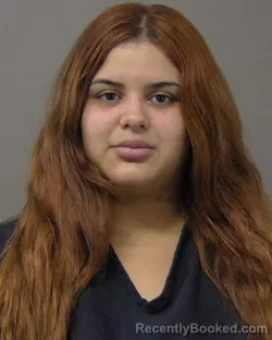 Mugshot of JOCELYN FERNANDA FERRERA booked in Macon County, Illinois on April 3, 2026