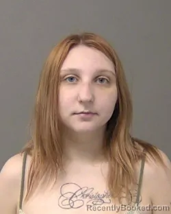 Booking photo from Macon County, Illinois