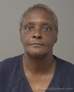 Mugshot of SHEILA CHERI JOHNSON booked in Macon County, Illinois on April 28, 2026