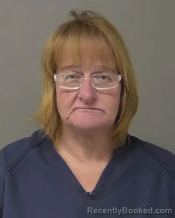 Mugshot of LYNN RENEE NORRIS booked in Macon County, Illinois on May 7, 2026