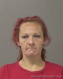 Mugshot of MABLE VEE BRYANT booked in Macon County, Illinois on May 12, 2026