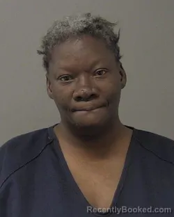 Mugshot of MELINDA MISHAR GREER booked in Macon County, Illinois on May 12, 2026