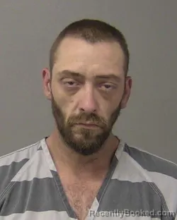 Mugshot of MACKENZIE AUSTIN GRAHAM booked in Macon County, Illinois on May 14, 2026