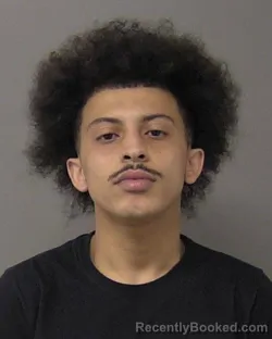 Mugshot of AYDEN LEBRON GOODMAN booked in Macon County, Illinois on May 21, 2026