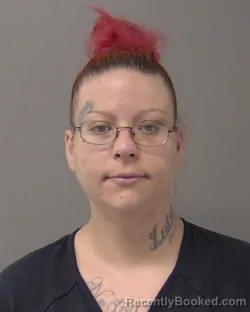 Mugshot of MISTY DAWN LANG booked in Macon County, Illinois on June 5, 2026