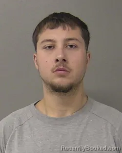Mugshot of ZACHARY LARS-THOMAS HORNYAN booked in Macon County, Illinois on June 13, 2026