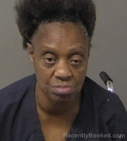 Mugshot of JUANITA ANN GOODWIN booked in Macon County, Illinois on June 18, 2026