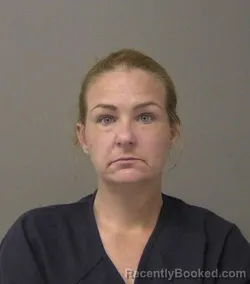 Mugshot of JENNIFER ANN HENKE booked in Macon County, Illinois on June 22, 2026